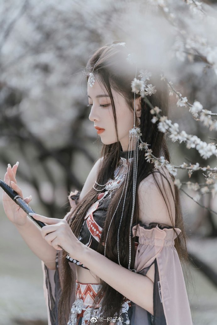 我的阿勒泰 封面